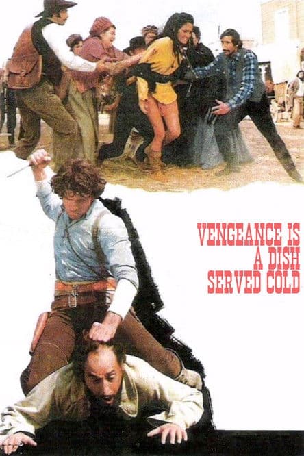 Vengeance Is a Dish Served Cold movie poster