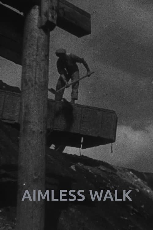 Aimless Walk movie poster