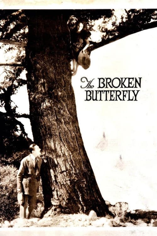 The Broken Butterfly movie poster