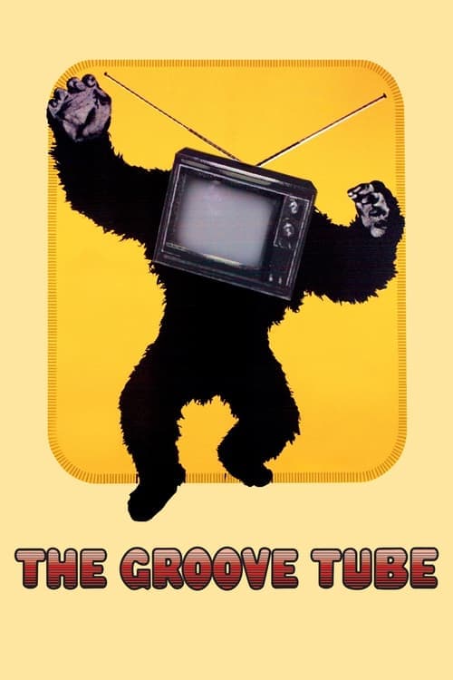 The Groove Tube movie poster