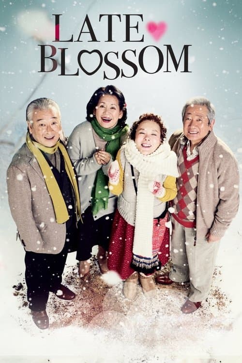 Late Blossom movie poster