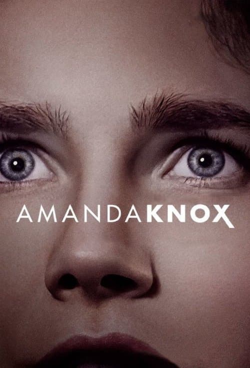 Amanda Knox movie poster