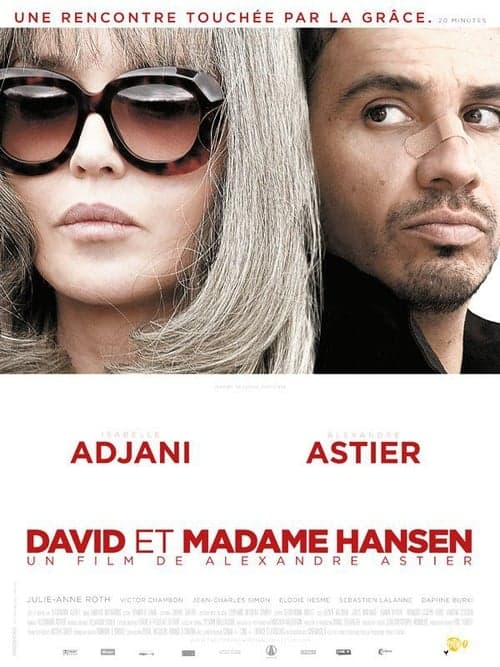 David et Madame Hansen movie poster