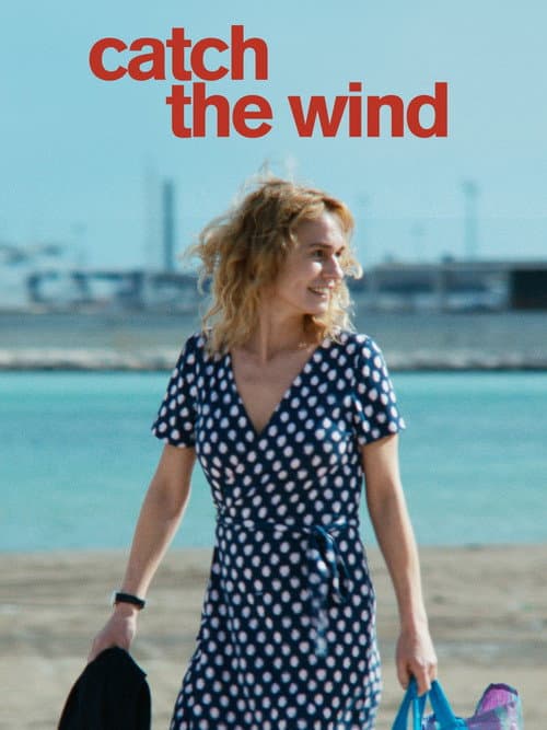Catch the Wind movie poster