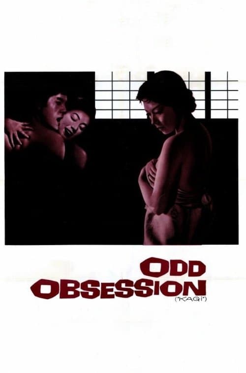 Odd Obsession movie poster