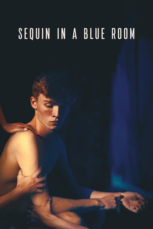 Sequin in a Blue Room movie poster