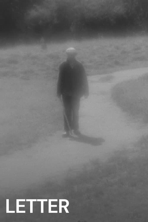 The Letter movie poster