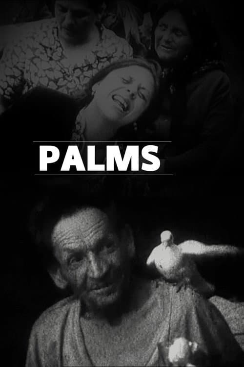 Palms movie poster