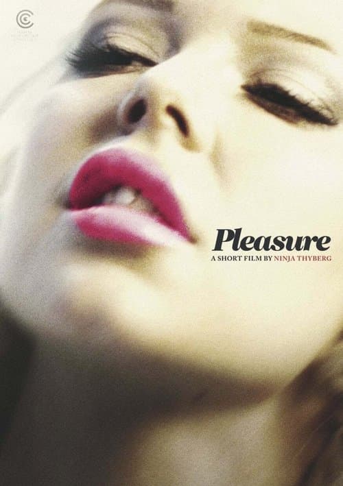 Pleasure movie poster