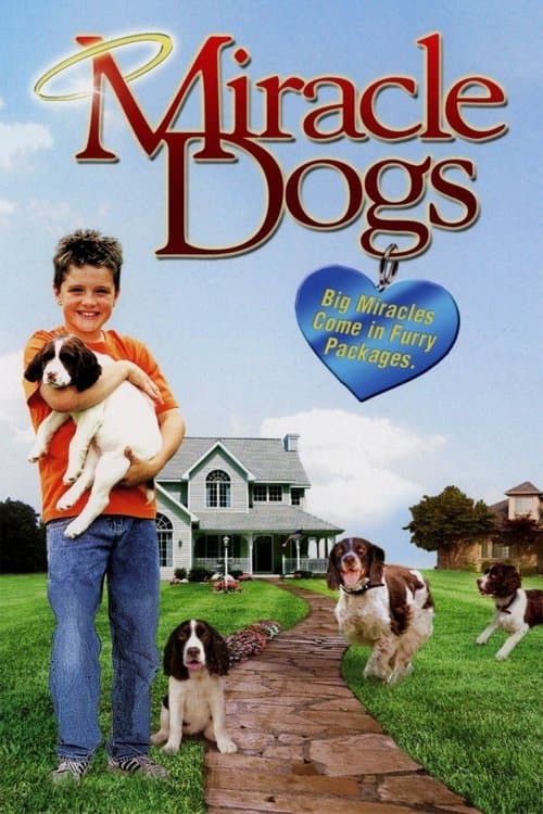 Miracle Dogs movie poster