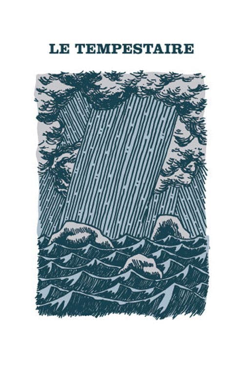 The Storm-Tamer movie poster