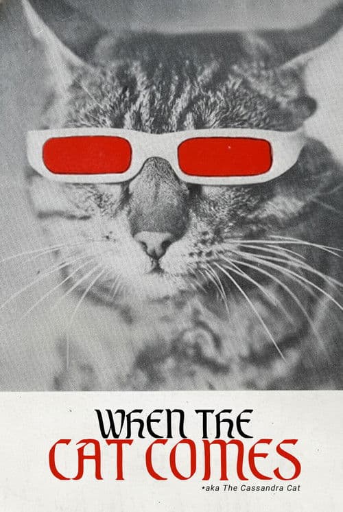 When the Cat Comes movie poster