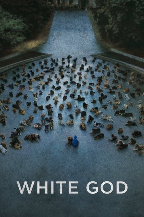 White God movie poster