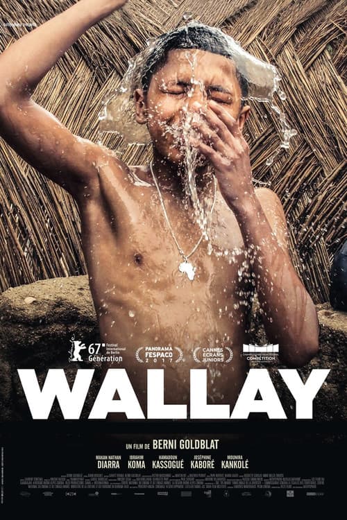 Wallay movie poster