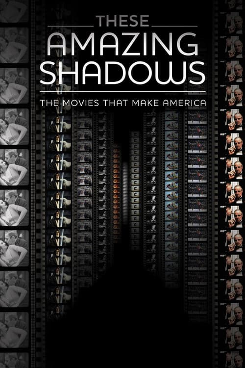 These Amazing Shadows movie poster