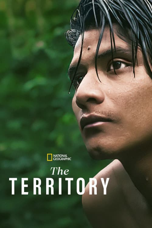 The Territory movie poster