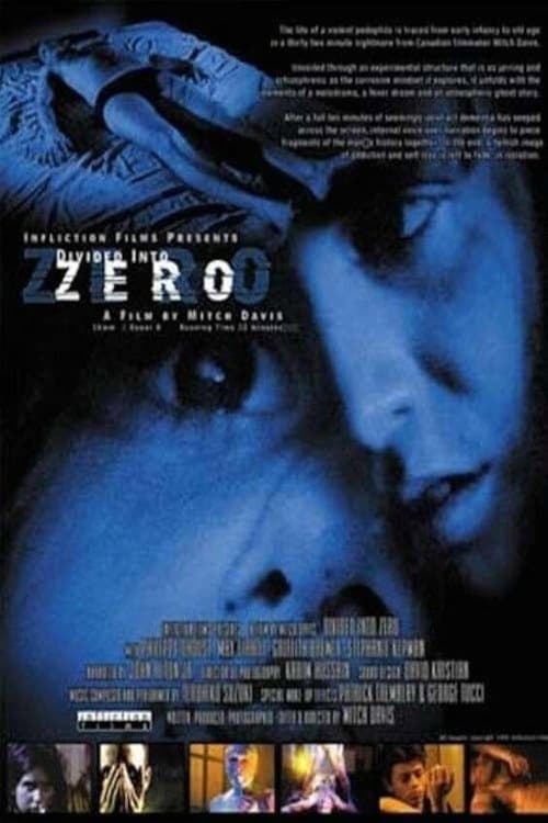 Divided Into Zero movie poster