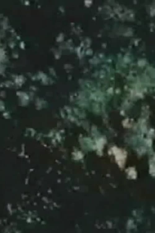 Song 14 movie poster