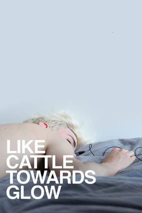 Like Cattle Towards Glow movie poster