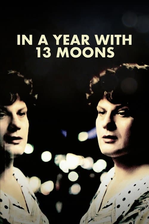 In a Year with 13 Moons movie poster