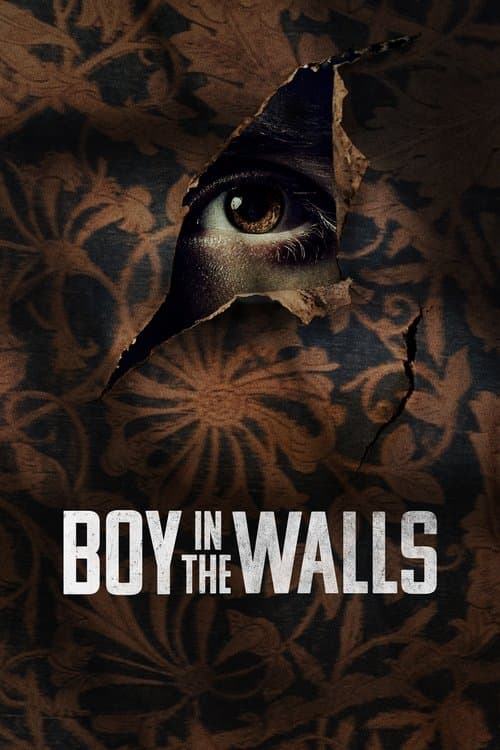 Boy in the Walls movie poster