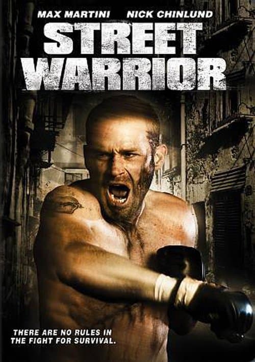 Street Warrior movie poster