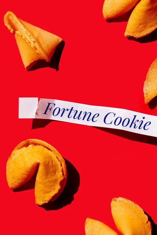 Fortune Cookie movie poster