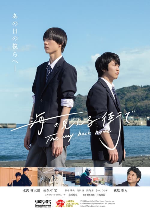 The way back home movie poster