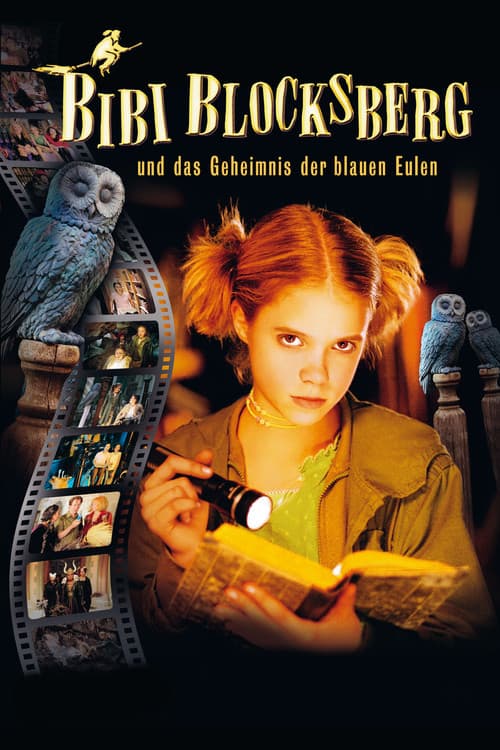 Bibi Blocksberg and the Secret of Blue Owls movie poster