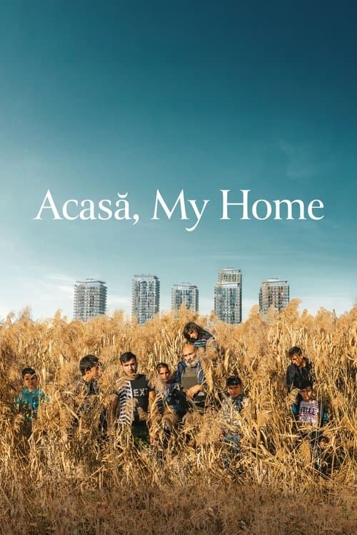 Acasă, My Home movie poster