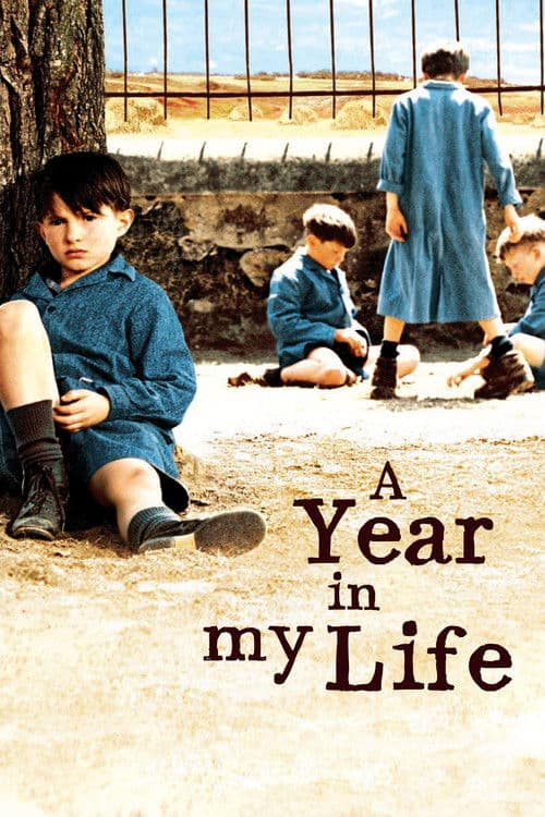 A Year in My Life movie poster