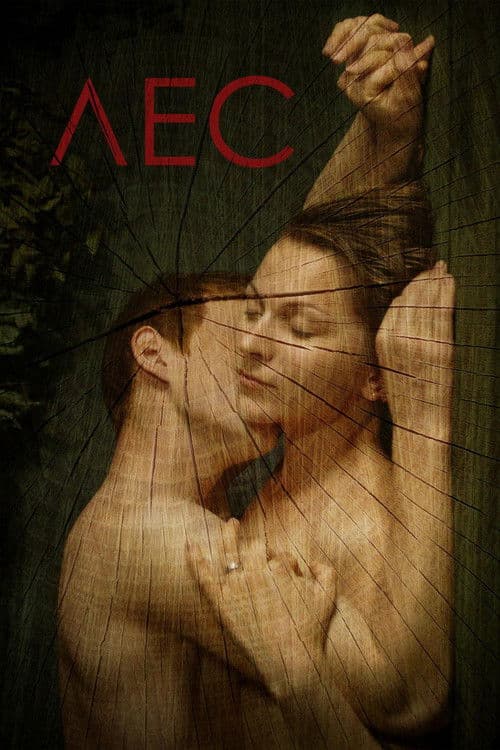 The Forest movie poster