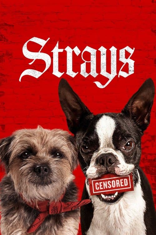 Strays movie poster