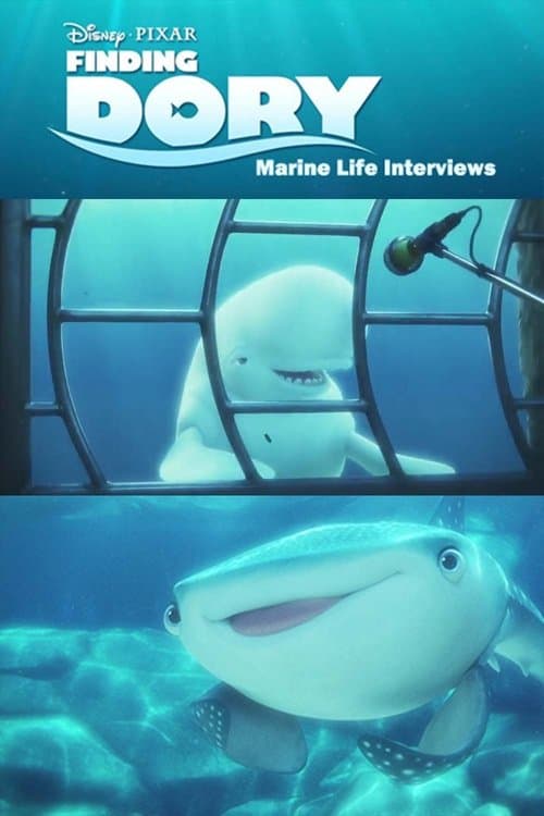 Marine Life Interviews movie poster