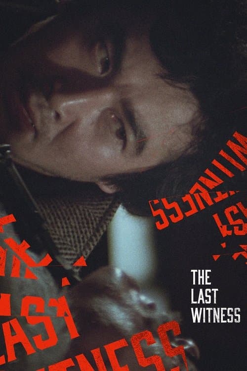 The Last Witness movie poster