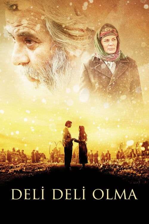 Piano Girl movie poster