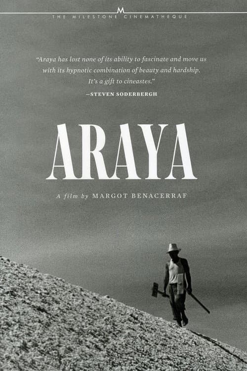 Araya movie poster