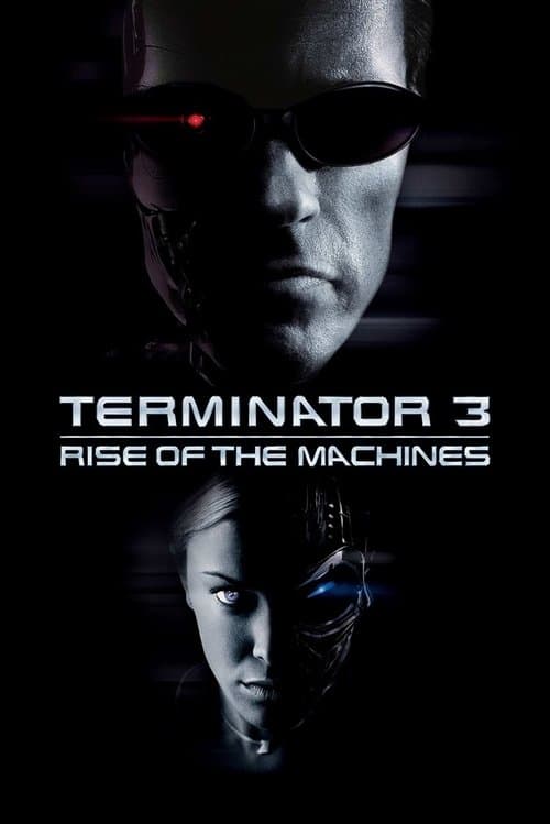 Terminator 3: Rise of the Machines movie poster