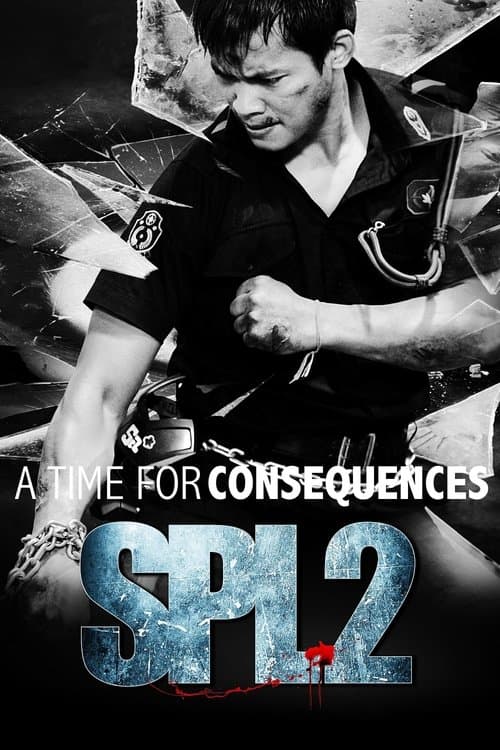SPL 2: A Time for Consequences movie poster