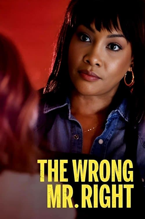 The Wrong Mr. Right movie poster