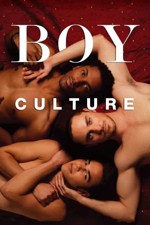Boy Culture movie poster