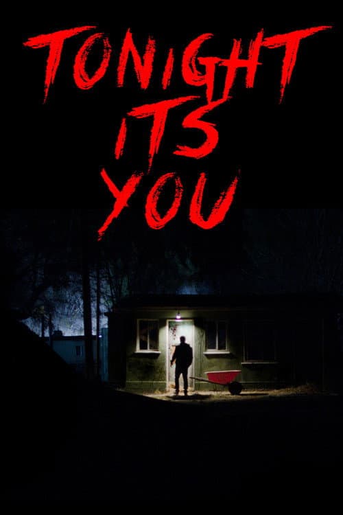 Tonight It's You movie poster