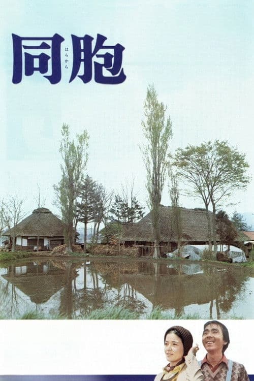 The Village movie poster