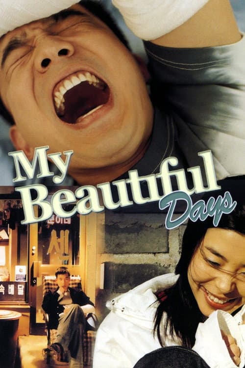 My Beautiful Days movie poster
