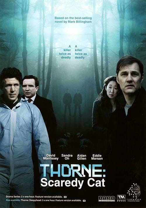 Thorne: Scaredycat movie poster