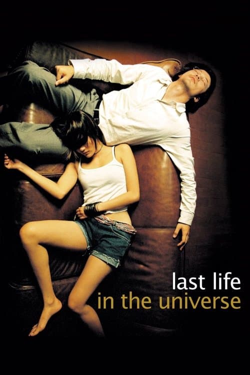 Last Life in the Universe movie poster