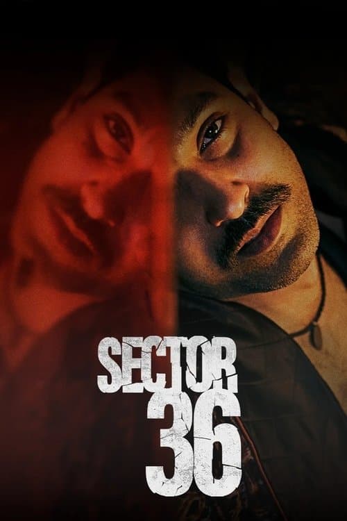 Sector 36 movie poster
