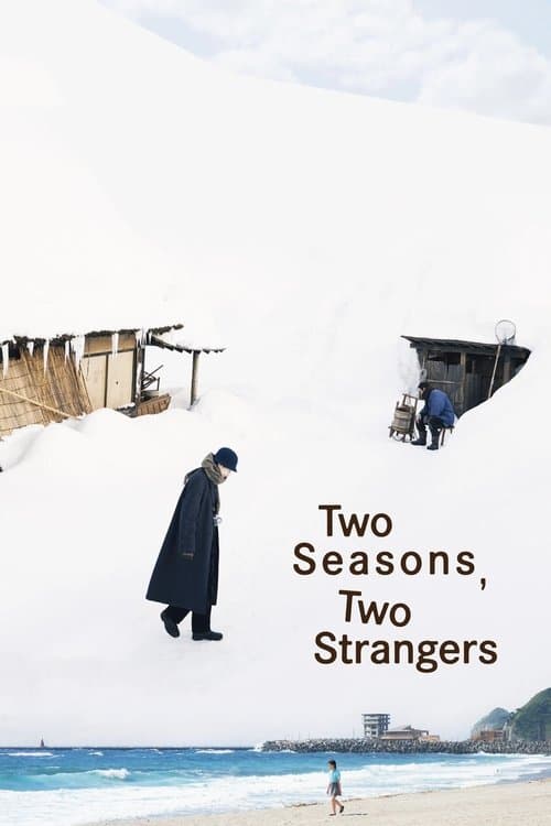 Two Seasons, Two Strangers movie poster