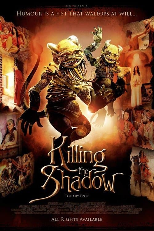 Killing the Shadows movie poster