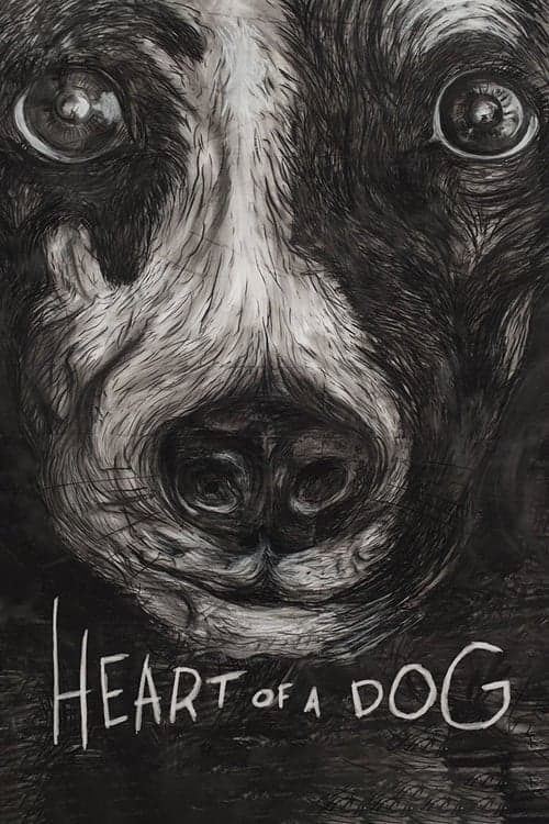 Heart of a Dog movie poster
